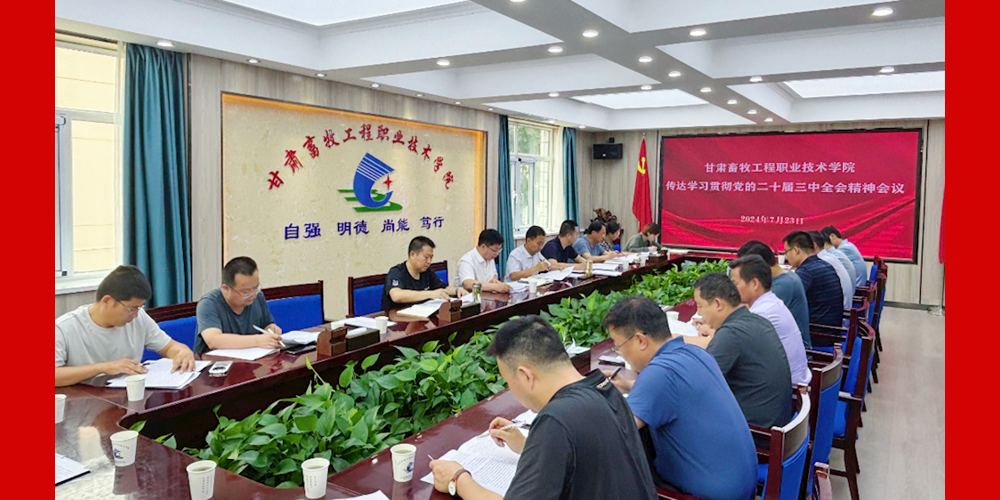 学校传达学习党的二十届三中全会精神